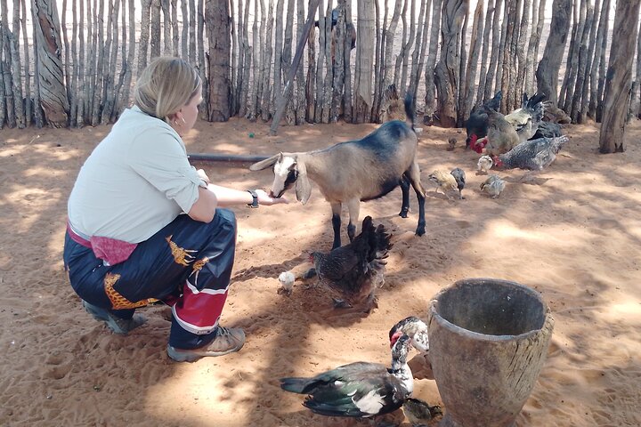 Venture out of the township of Victoria Falls and visit a small Zimbabwean village to learn about life in the African bush. Get to know what daily life is like for the villagers, how chores are divided between men and women, the traditional recipes of the village, and much more. This is a private tour meant to facilitate education and understanding to visitors passing through Zimbabwe.